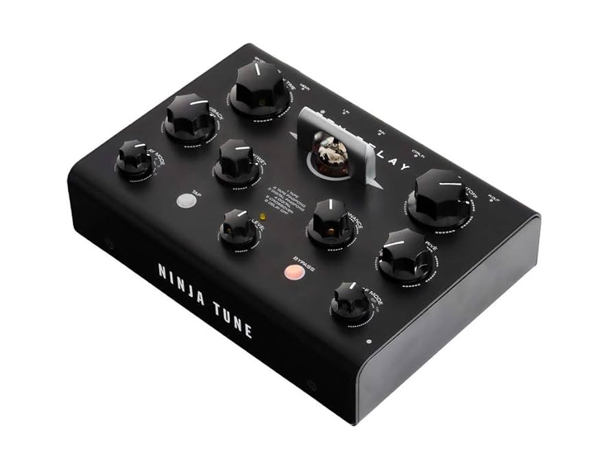 Amazon.com: Erica Synths Zen Delay Delay Effects Unit with